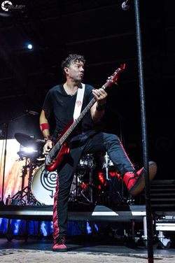 Collective Soul