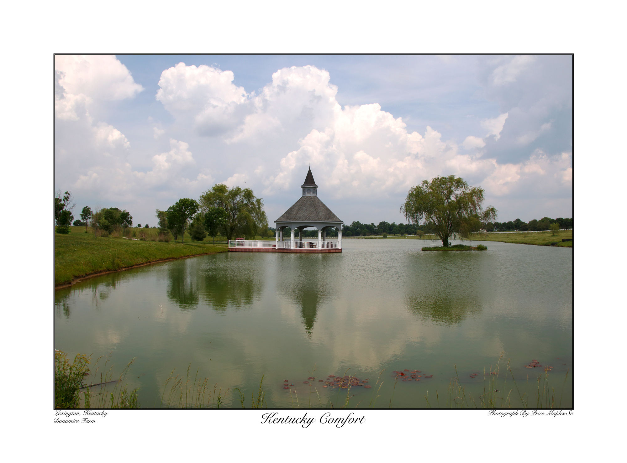 Kentucky Comfort 17x23 Kentucky horse farm landscape art print that showcases a view of a Gazebo and pond