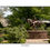 Thumbnail: Secretariat Post Card/Bookmark Front