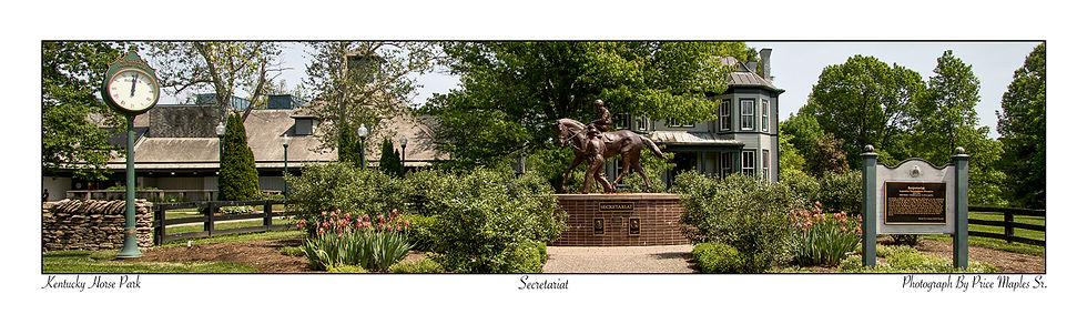 Secretariat Post Card/Bookmark Front