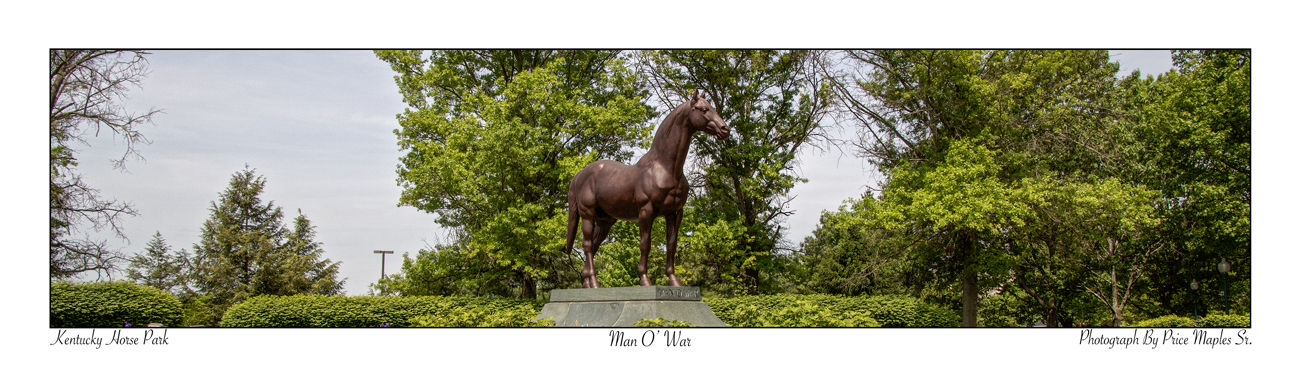 Man O' War Post Card/Bookmark Up Close Front