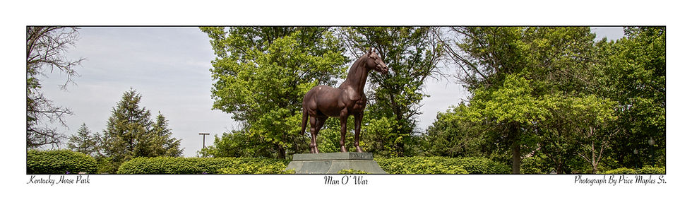 Man O' War Statue Post Card/Bookmark Up Close