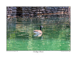 Cooling Down