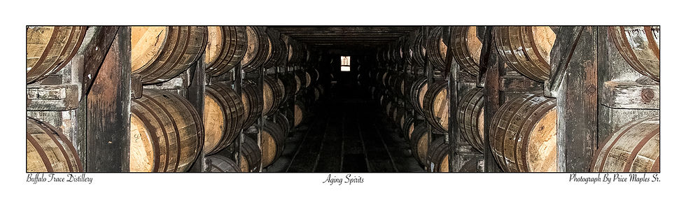Aging Spirits Post Card/Bookmark Front