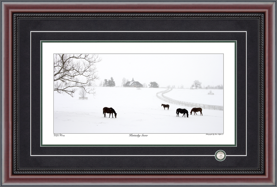 Price Maples Sr. Art & Framing Panoramic Photographs
