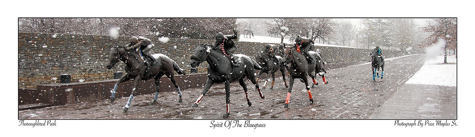 Spirit Of The Bluegrass Post Card/Bookmark Front