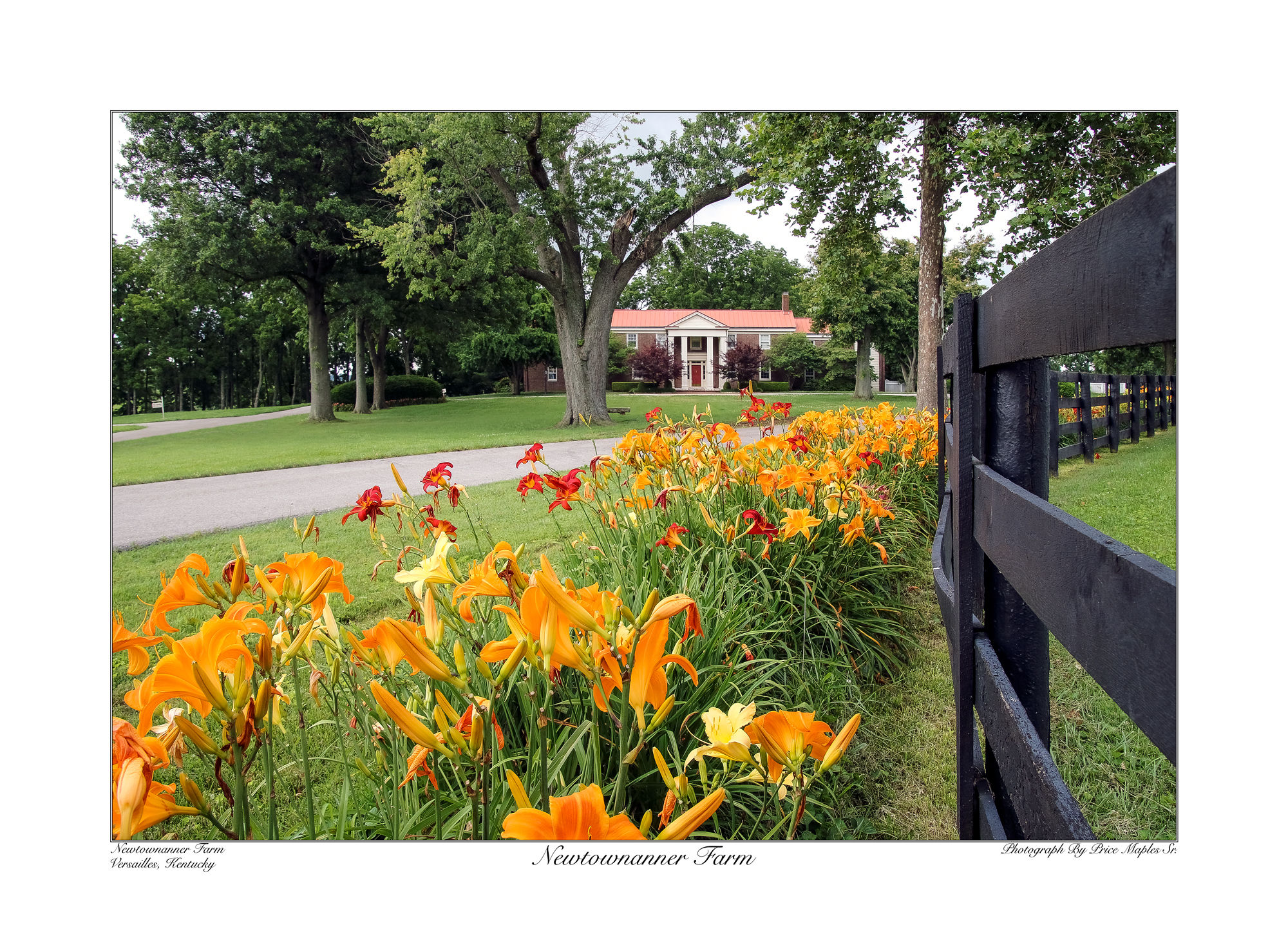 Newtownanner Farm 17x23 Kentucky horse farm landscape art print showcasing Newtownanner Stud Farm