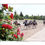 Thumbnail: Lexington's Run For The Roses 22x28 Kentucky fine art landscape print showcasing seven life-size bronze statues “racing”