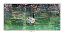 Cooling Down
