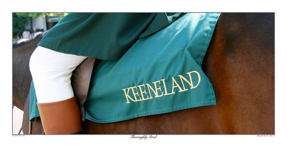 Thumbnail: Thoroughly Bred 23x45 Kentucky Horse Racing Art Print