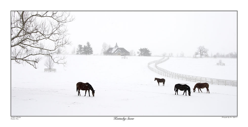 Thumbnail: Kentucky Snow 23x45 Fine Art Print