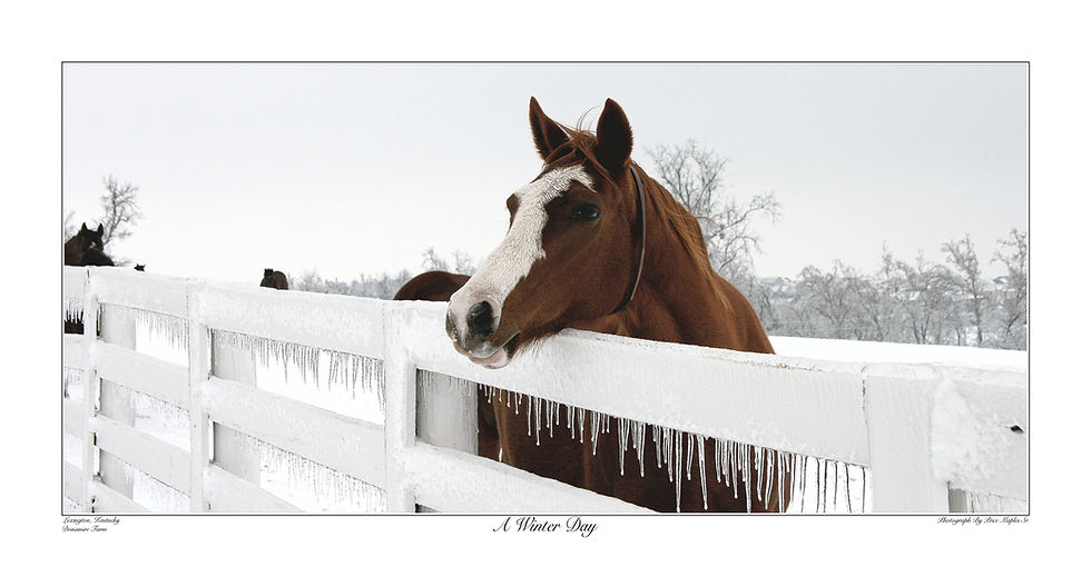 Thumbnail: A Winter Day 18x34 Winter Print