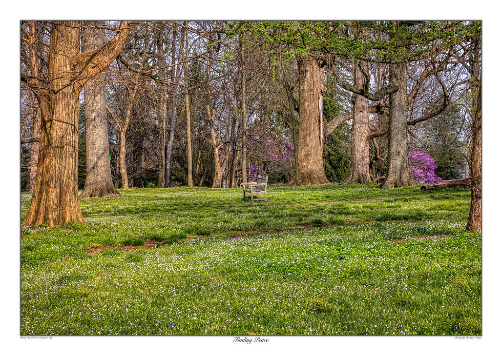 Thumbnail: Finding Peace 34x48 Kentucky landscape scene art print that showcases a charming bench nestled among a lush landscape