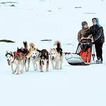 00014730.webp