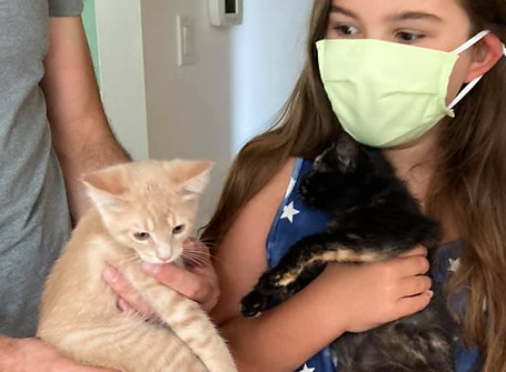 Cricket and Callie.jpg