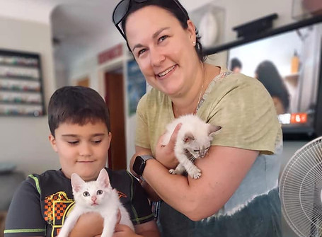 Sertraline and Paroxetine.jpg