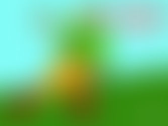 Friday, March 14th, 2025