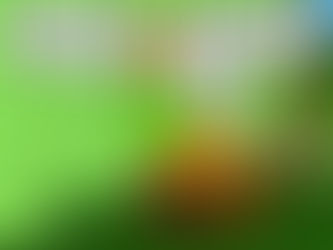 Friday, November 29th, 2024