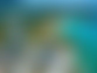 Behind the Scenes: What It’s Like to Manage a Luxury Community in Sint Maarten