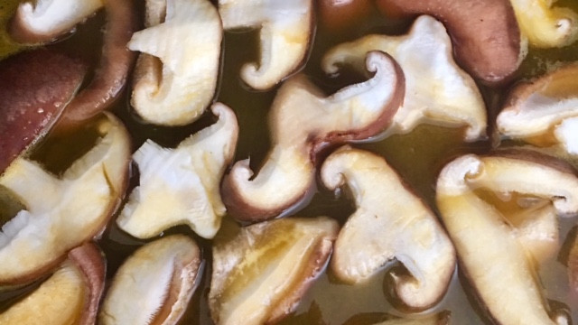 meatless broth