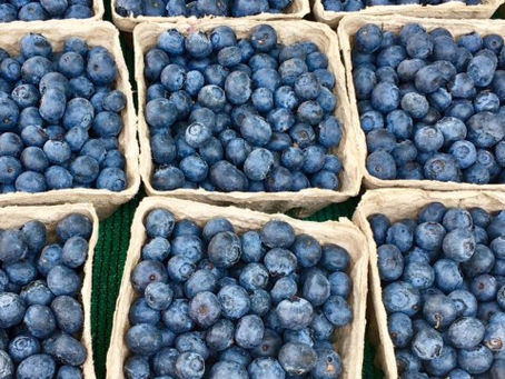 Why are berries brain food?