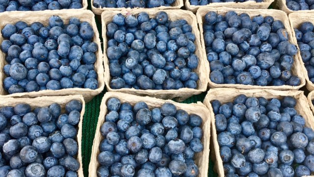 blueberries