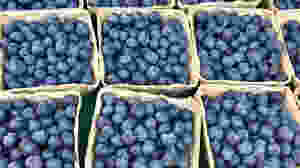blueberries