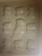 Asst Graduation Molds