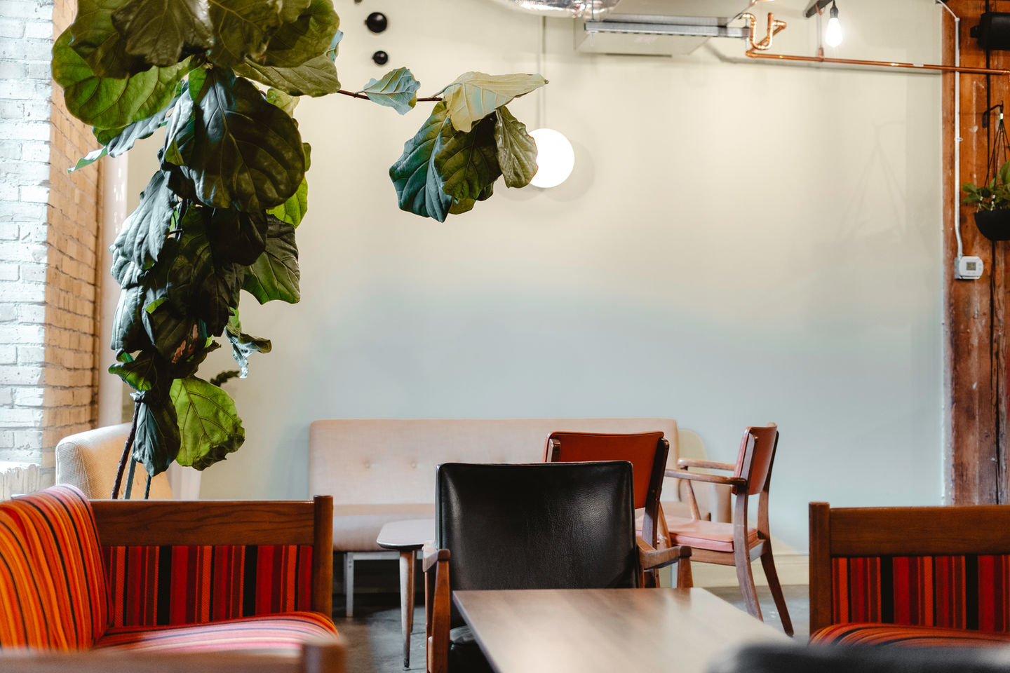 corner picture with lounge seating and plants