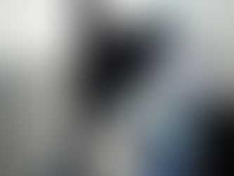 Kitty's Log: 7 February 2022