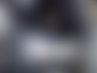Kitty's Log: 12 June 2022