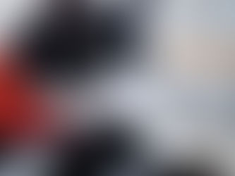 Kitty's Log: 22 December 2020