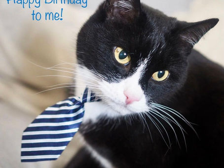 Kitty's Log: 10 May 2021