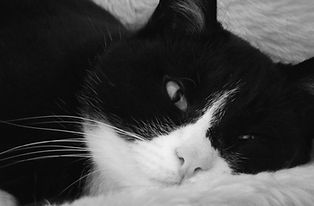 DSCF1015.JPG