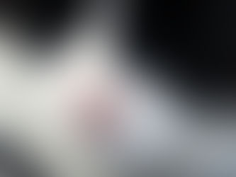 Kitty's Log: 12 September 2021
