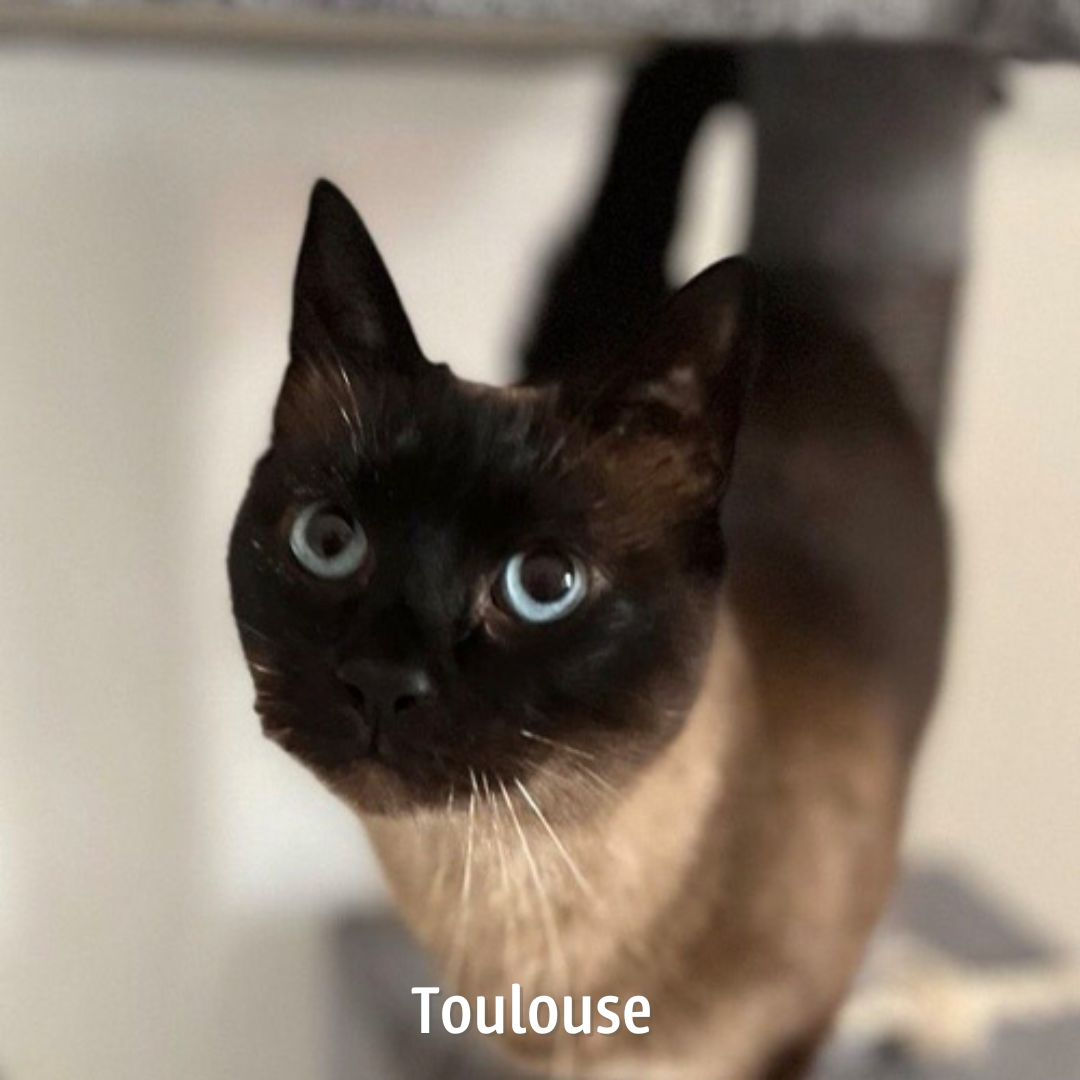 Meine Patenschaft Minden