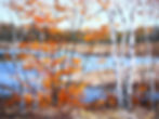 2011 Fall Colours