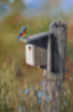 2008 Bluebird Morning