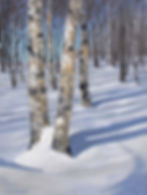2011 Winter Birch