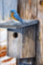 2004 HouseInspector