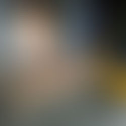 the booster protocol - Perth Festival