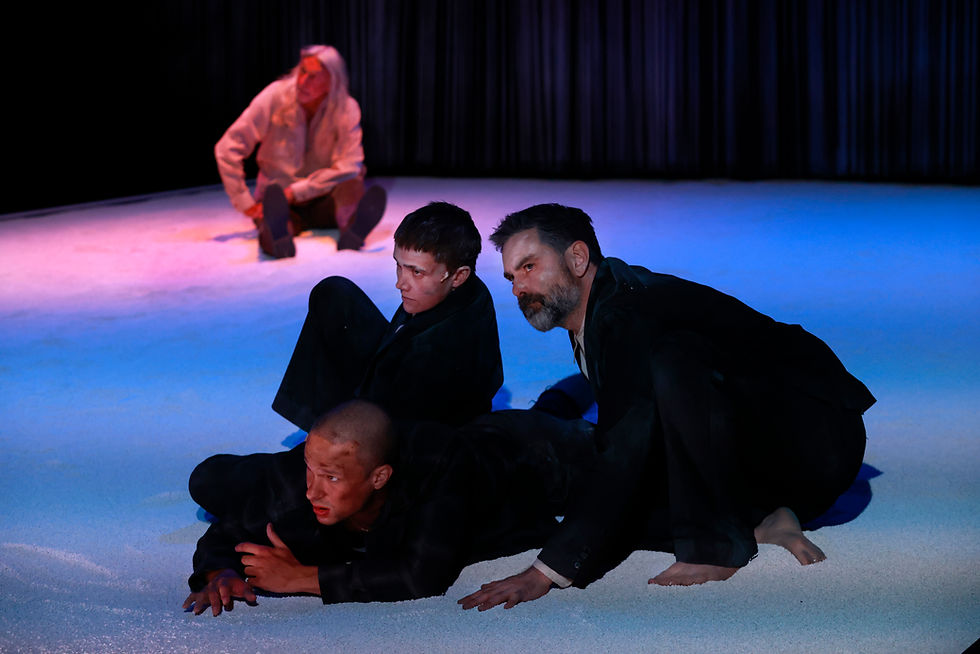 The Shepherd's Hut - Black Swan Theatre Company