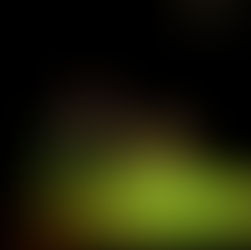 The Dog / The Cat - Fremantle Theatre Company and JackRabbit Productions