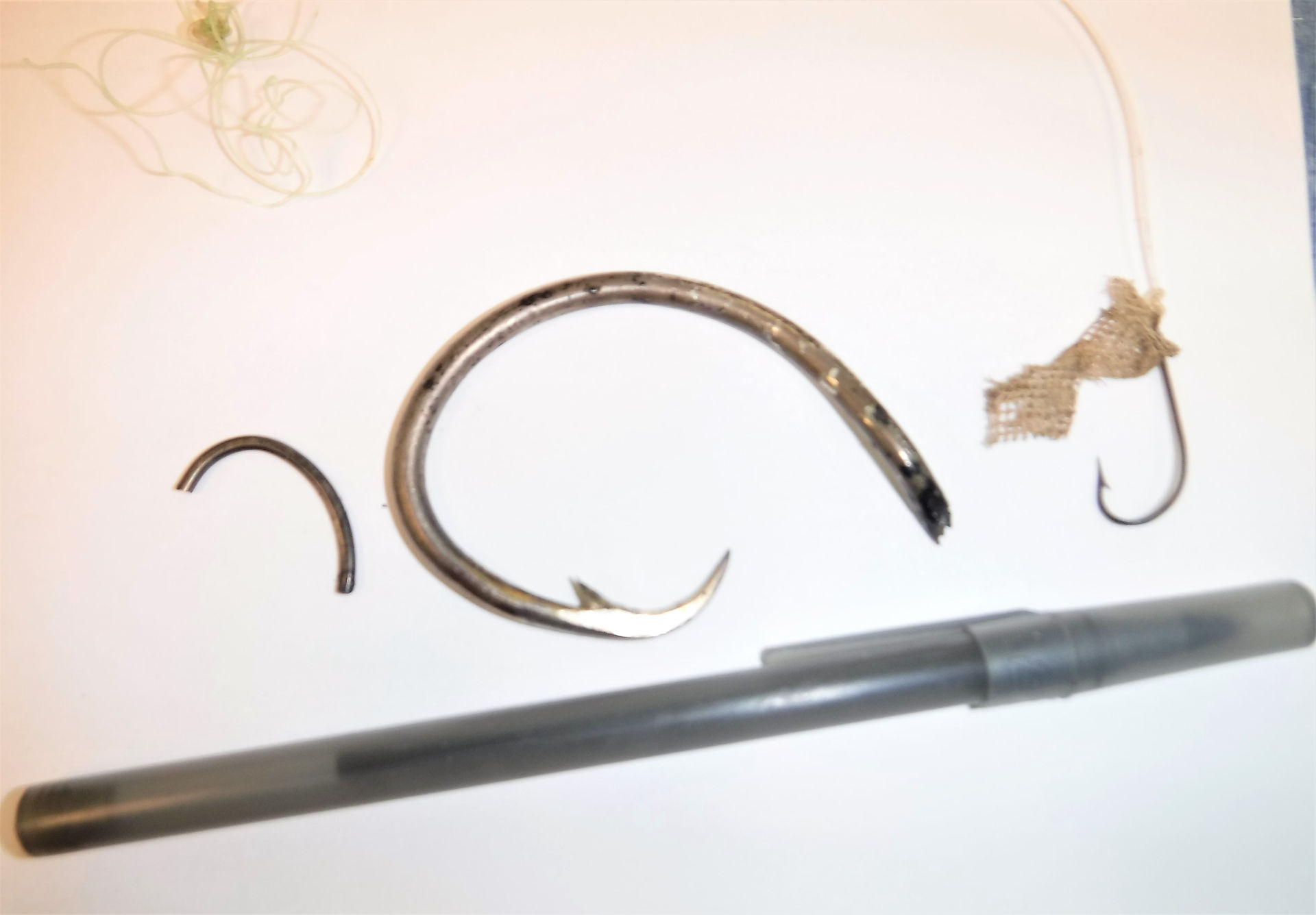  Hooks removed from his esophagus