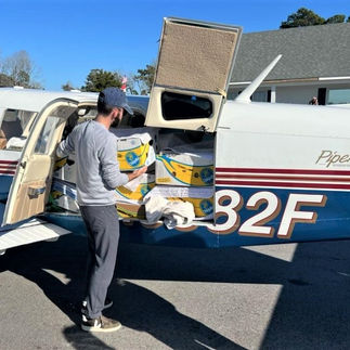 Cold stuns arriving at Beaufort thanks to "Turtles Fly Too."