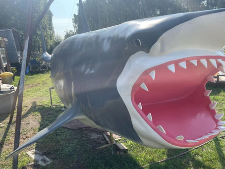 Great White Shark Returns To Hampstead