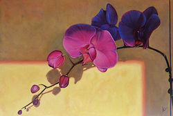 Orchid's life - 2015