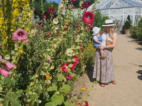 Frugal Family Days Out
