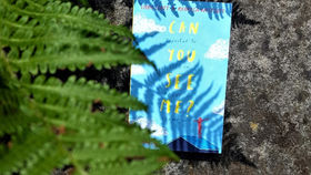 Children's Book Review: Can You See Me? by Libby Scott and Rebecca Westcott