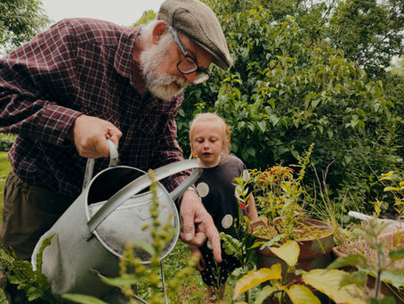 Grandparents' Rights from Family Law Group
